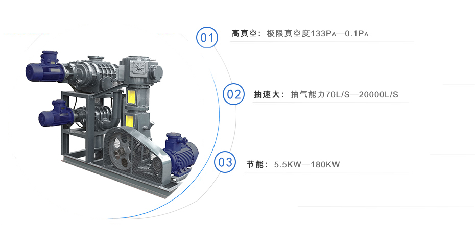 羅茨泵+無油往復(fù)真空泵機(jī)組