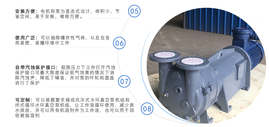 2BV系列水環式真空泵