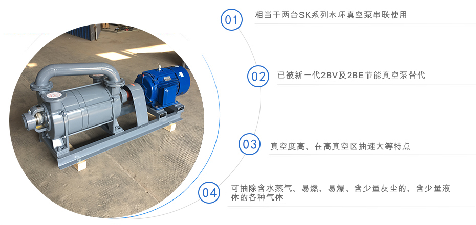 2SK系列水環(huán)式真空泵