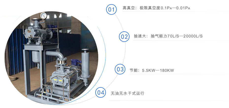 羅茨泵+螺桿真空泵機組